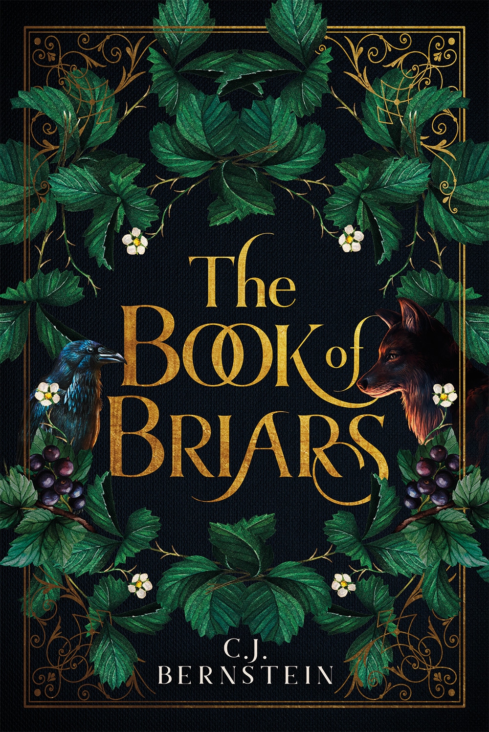Announcement: The Book of Briars Release
